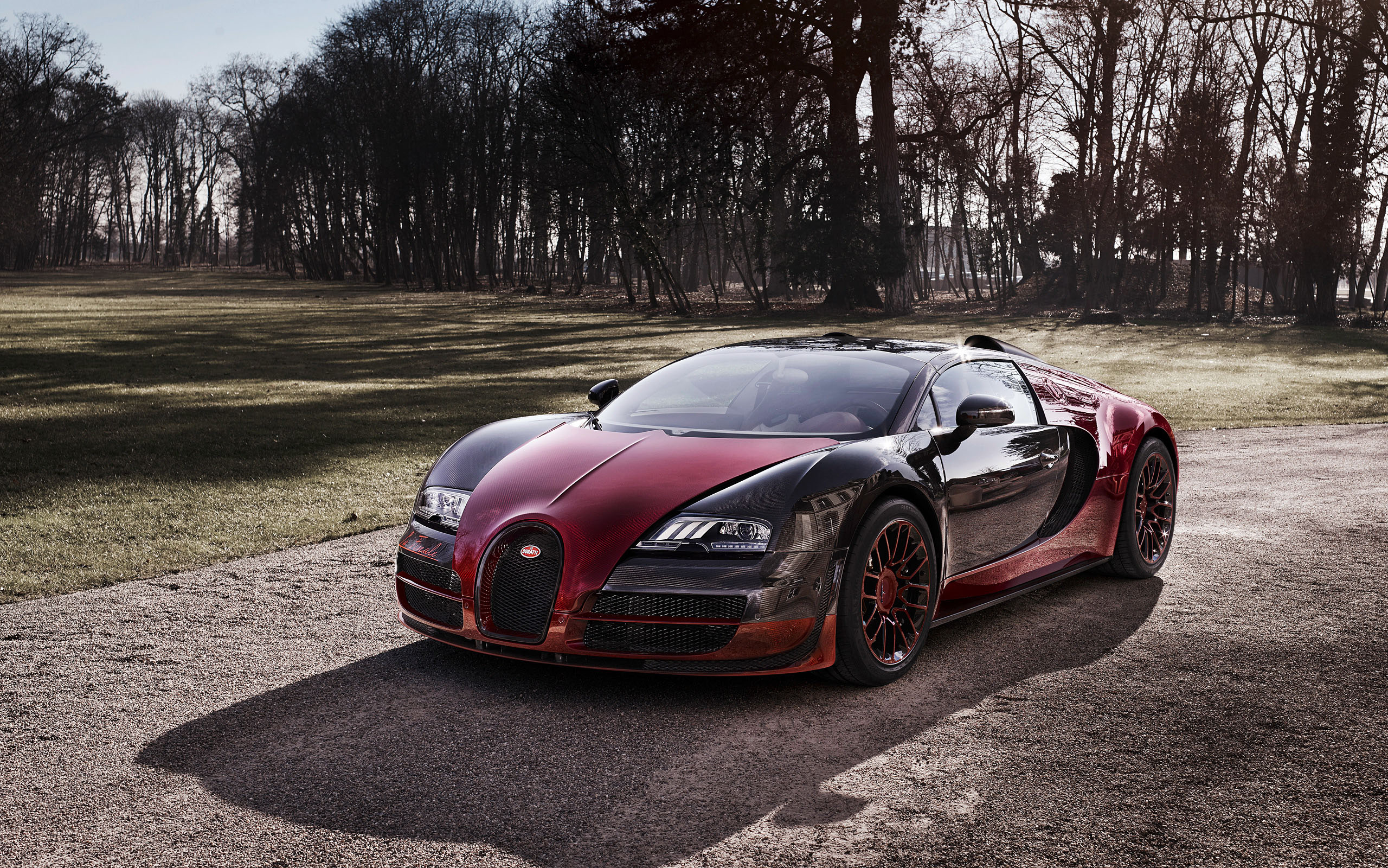 Bugatti Veyron Grand Sport Vitesse La Finale